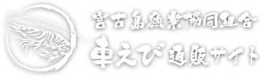 宮古島漁業協同組合車えび通販サイト